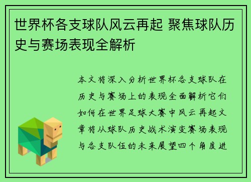 世界杯各支球队风云再起 聚焦球队历史与赛场表现全解析